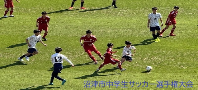 一般財団法人 静岡県サッカー協会東部支部　Webサイト